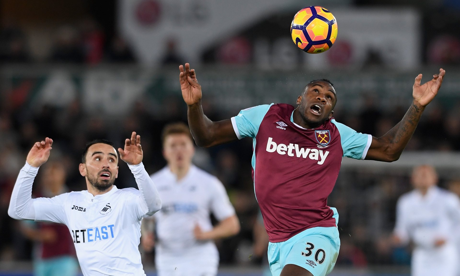 中的皇冠项 中的皇冠项